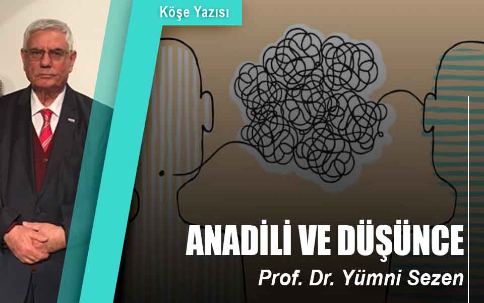 174384anadili ve düşünce.jpg